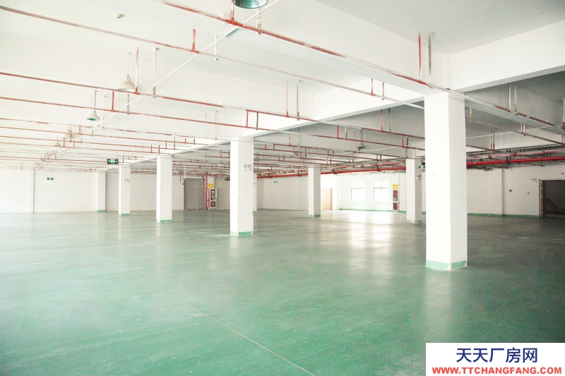 湖州織里童裝類廠房 匯聯跨境電商產業園 無中介費