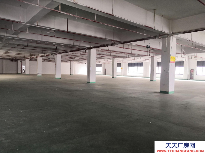 湖州織里童裝類廠房 匯聯跨境電商產業園 無中介費