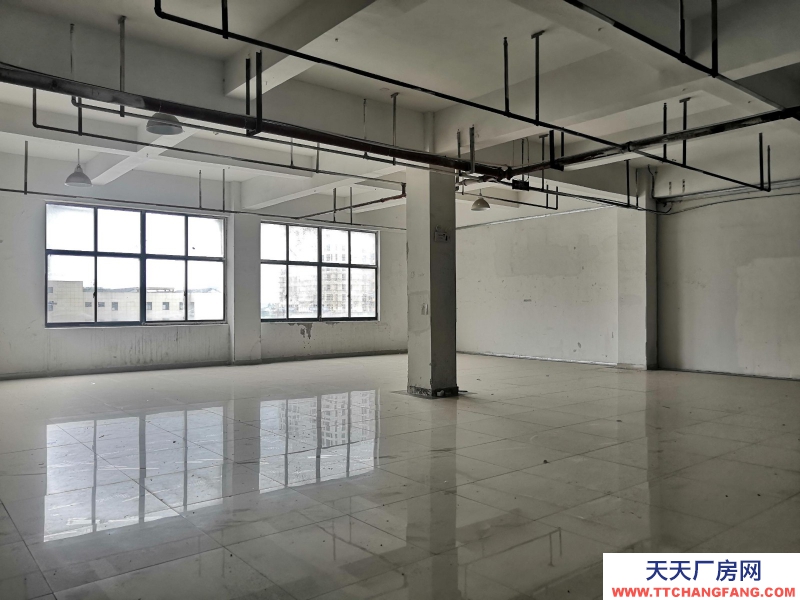 童裝行業廠房出租 產業帶集中 500平方 服裝行業 直播裁剪