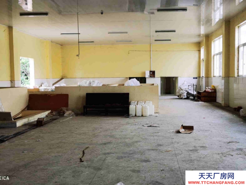 雙流調味品食品廠房出租