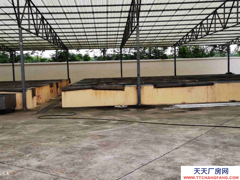 雙流調味品食品廠房出租