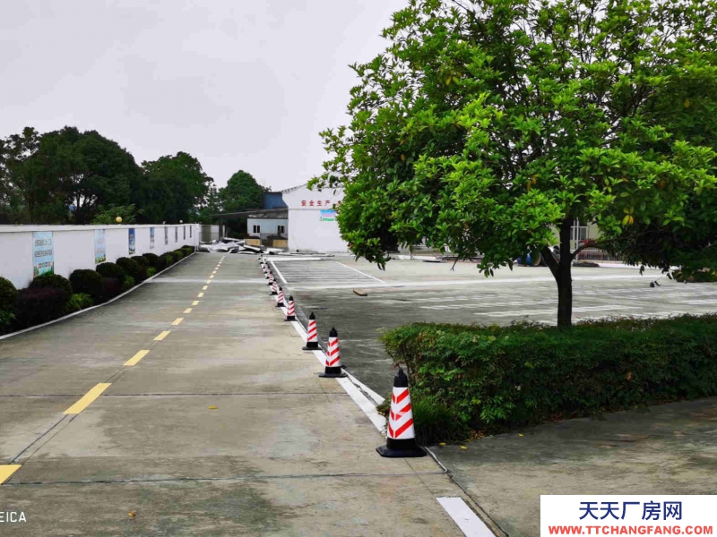 雙流調味品食品廠房出租