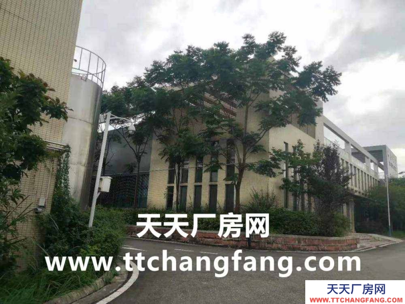 金堂食品廠房出租,金堂食品車間出租