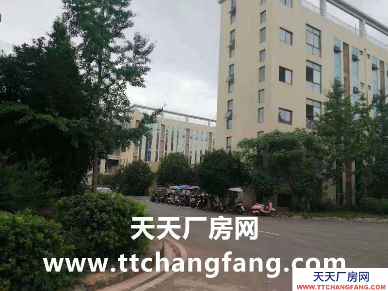 金堂食品廠房出租,金堂食品車間出租