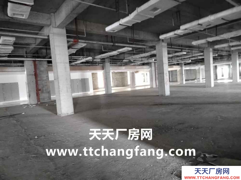 新都中央廚房食品廠房出租面積2000平米起分