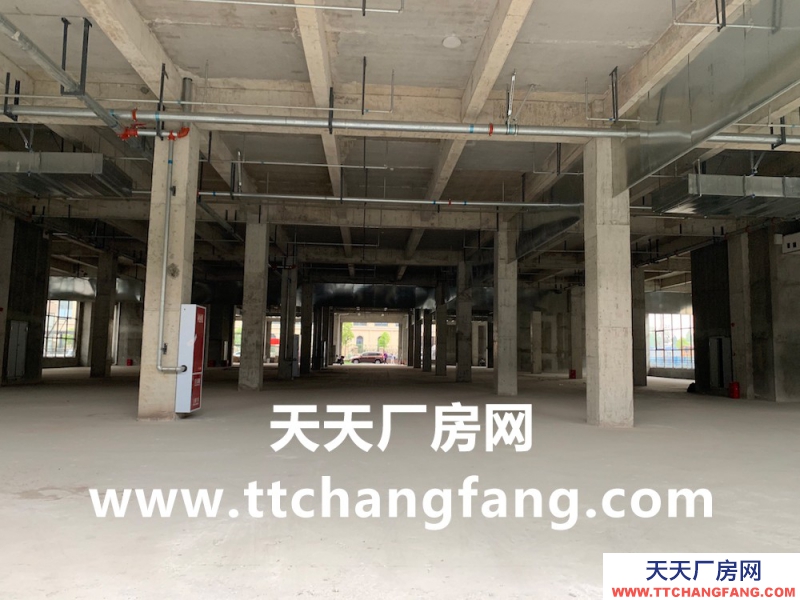 溫江食品多層標準食品廠房現房出租