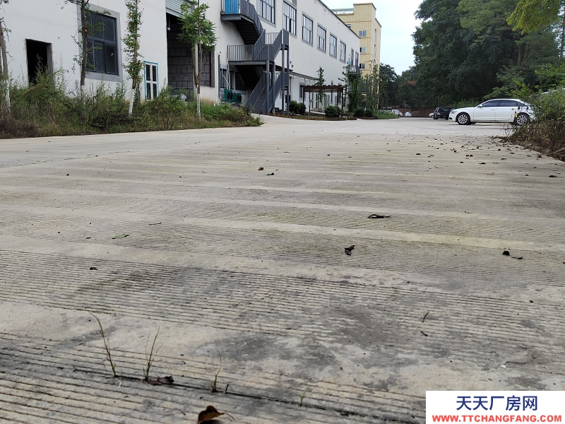 成都市新津區食品園區廠房出租3000-15000平米可分租