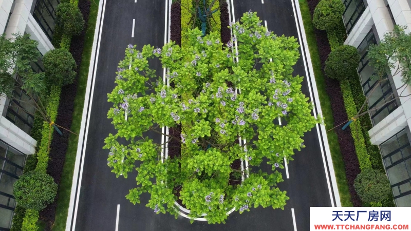 獨(dú)立產(chǎn)權(quán)現(xiàn)房廠房 生產(chǎn)研發(fā)辦公 環(huán)評安評保證 成都廠房