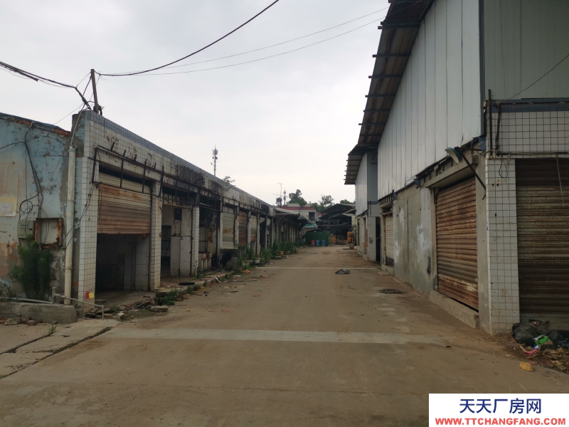 出租龍泉驛大面廠房、庫房、臨街鋪面