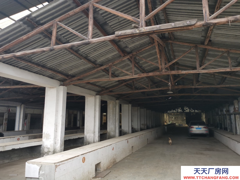 出租龍泉驛大面廠房、庫房、臨街鋪面