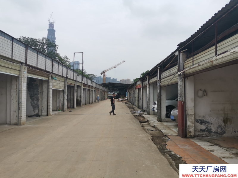 出租龍泉驛大面廠房、庫房、臨街鋪面