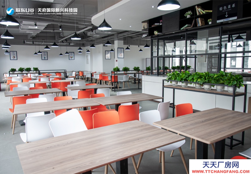 出租出售天府新區唯一可生產研發辦公廠房