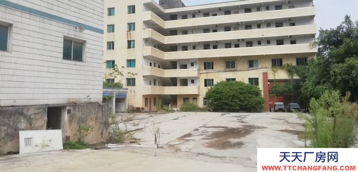 重慶涪陵蒿子壩臨街8000平米可分組