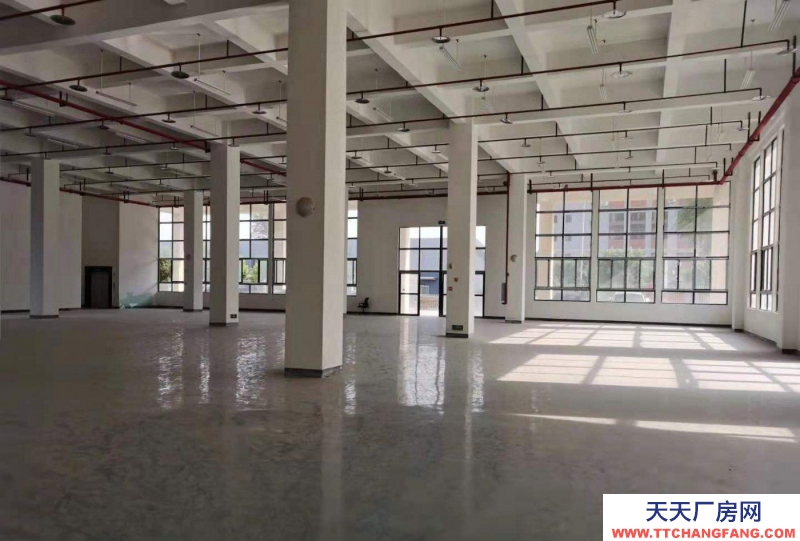 重慶大渡口建橋工業園C區旁廠房出租