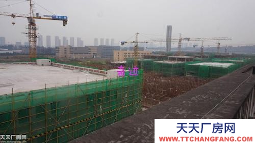 獨立產權首付3成政府聯合發售項目