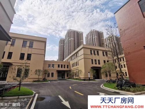 T3航站樓周邊?標準廠房?火熱招商?850㎡起