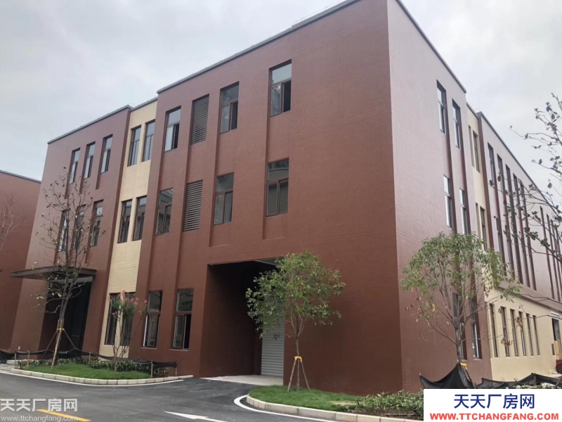 主城稀缺戶型——標準廠房出售 + 帶獨立產權