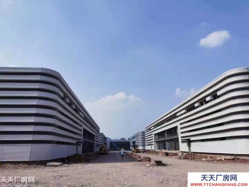 (出租)靈活小戶 獨立產權 1000㎡起 標準廠房