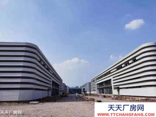 雙輕軌+三高速?稀缺單層輕鋼廠房