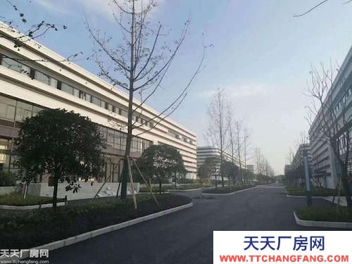 沙坪壩大學城(單層)輕鋼廠房出租(空高11米)