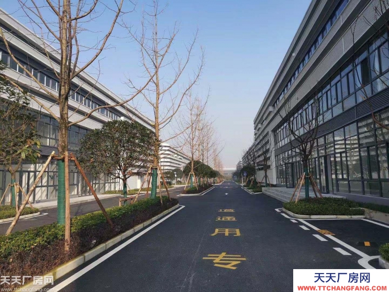 大學城僅有的正規廠房出租