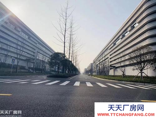 出租大學城曾家1600平單層鋼結構廠房