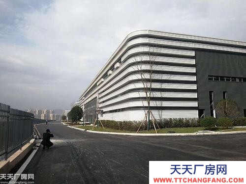 出租大學城曾家1600平單層鋼結構廠房