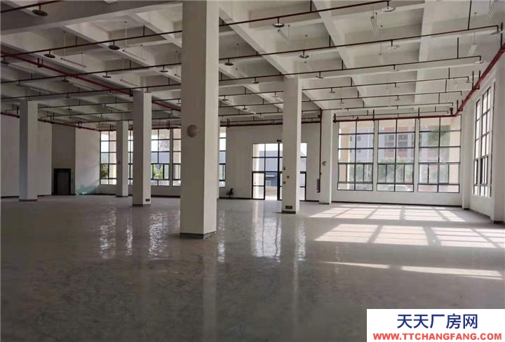 重慶九龍坡標準廠房出租,租金每平方16元,價格可談,可分租