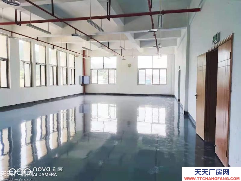 廠房、聯合辦公室出租，工位只需199,