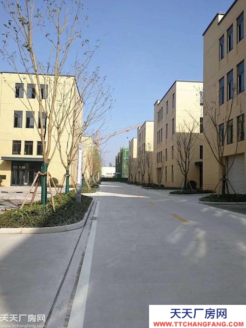 白市驛園區拆遷首選?緊靠九龍坡周邊?全新獨棟廠房