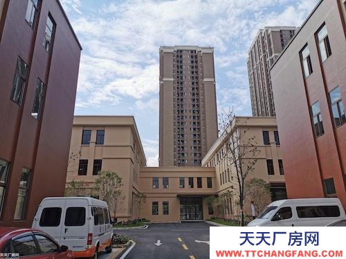 稀缺廠房 聯動招商 雙福新區國際企業港