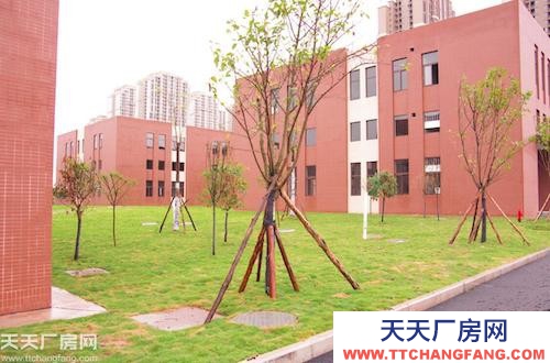 主城稀缺標(biāo)準(zhǔn)廠(chǎng)房租售（800平起）