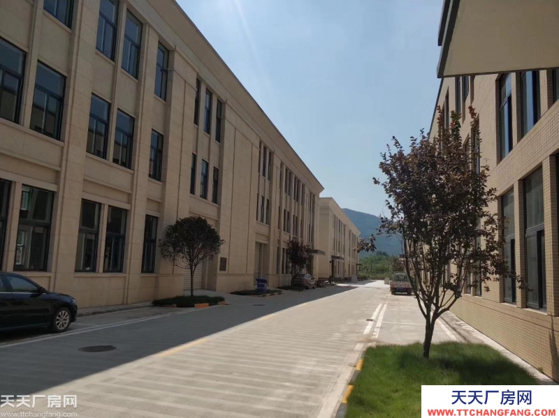 內環高速旁，聯東大品牌，獨棟標準廠房出售+50年產權