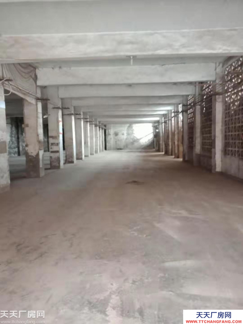 南岸彈子石1200平廠房倉庫出租