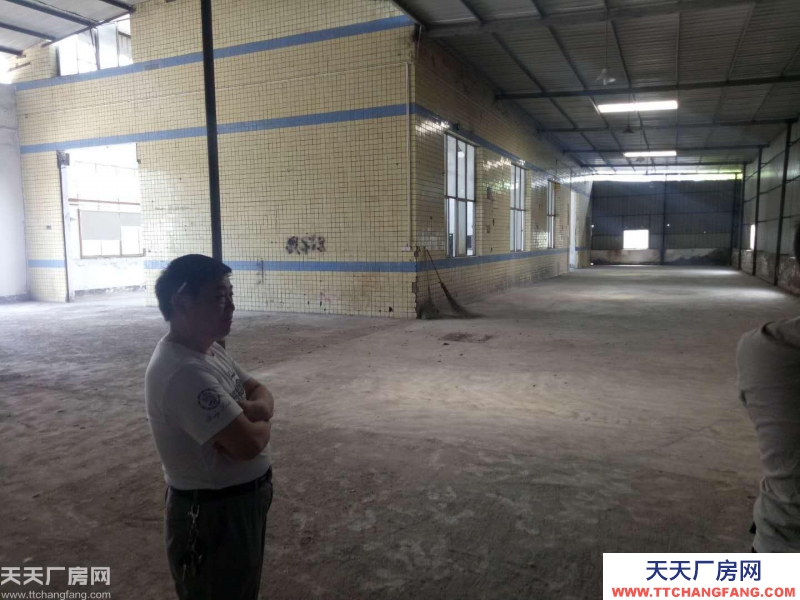 南岸區茶園新區1050廠房出租