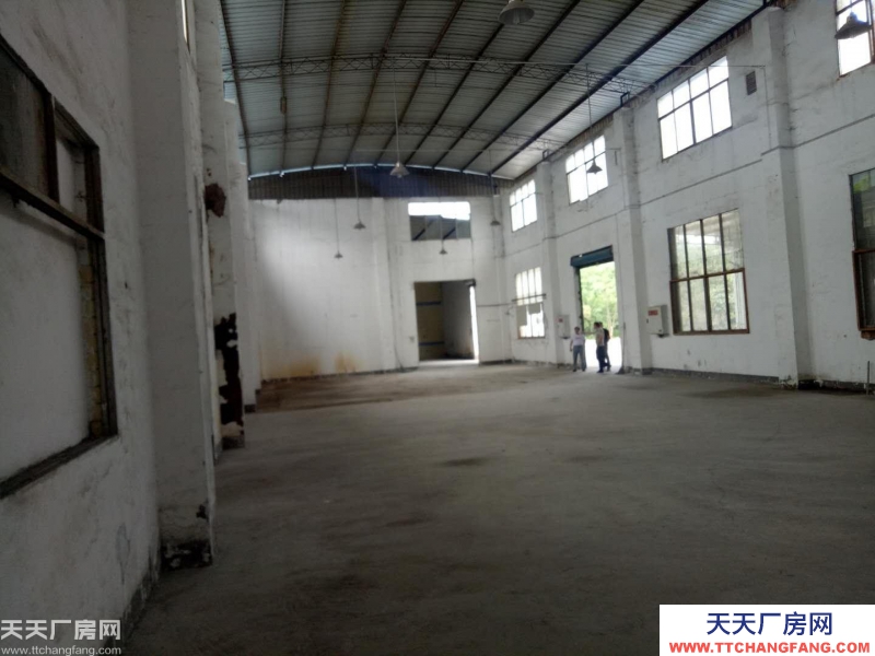 南岸區茶園新區1050廠房出租