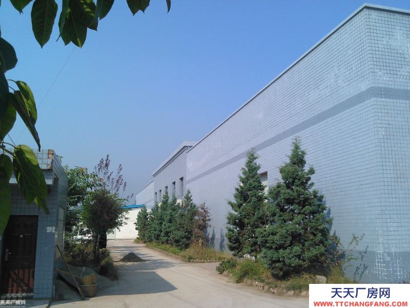 出租南岸茶園附近1200平方廠房