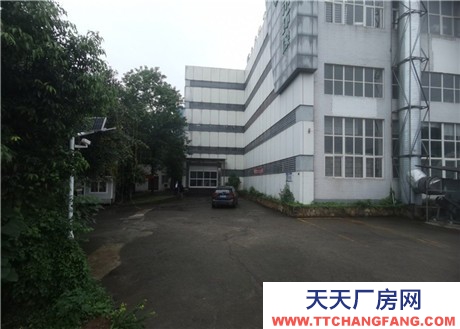 重慶廠房出租 獨門獨院2000㎡廠房出租