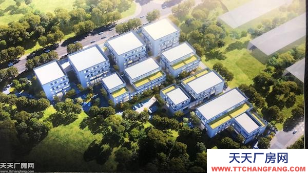 園區直招獨立產權可按揭高標準廠房