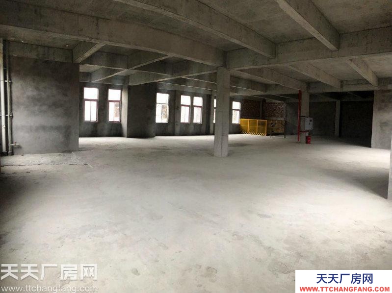 兩江新區、渝北區2000㎡標準廠房出售出租