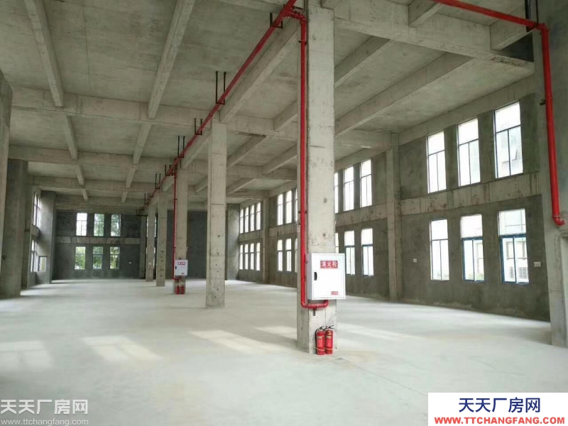 (出租)500/1500㎡,稀缺資源 標準廠房 火熱招租