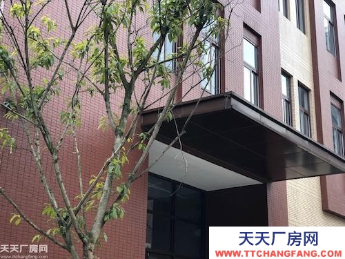 兩江新區?智能制造產業園?品質標準廠房?1000㎡起