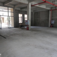 獨棟 50年產權 標準廠房出售可按揭