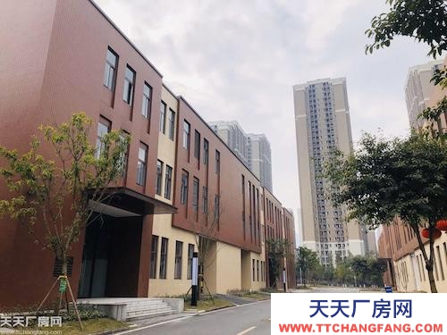 歇馬拆遷首選?實用型標準廠房?園區可走大車