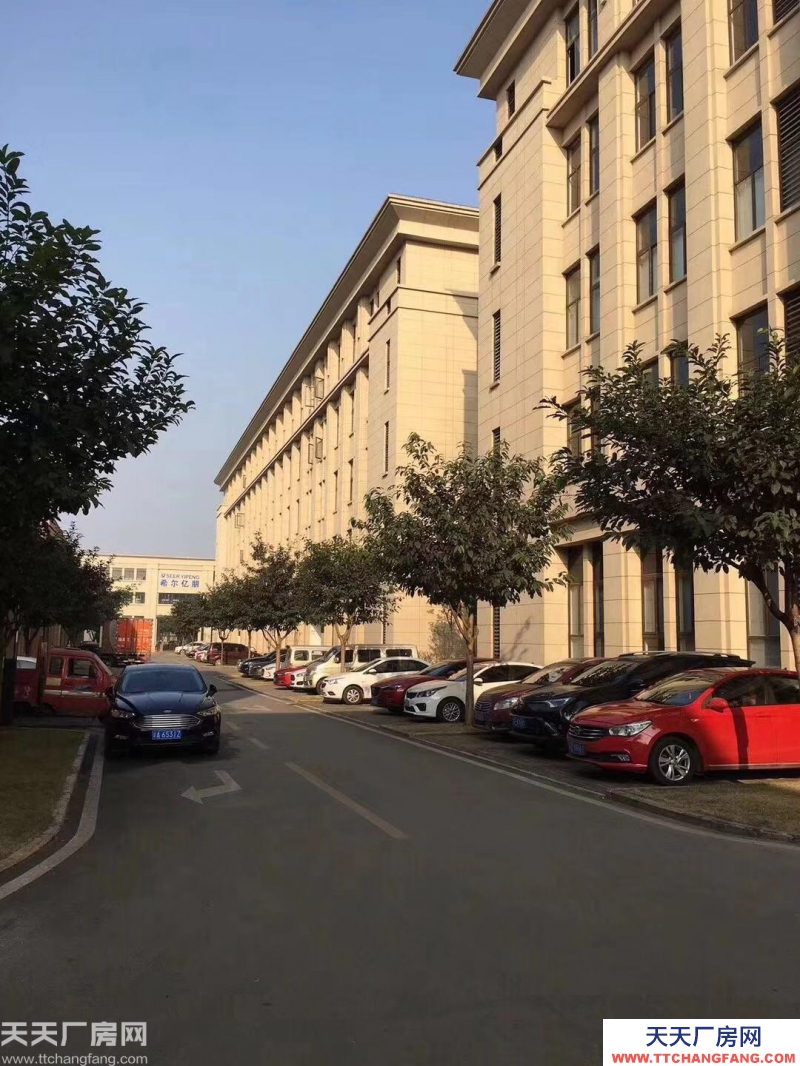 稀缺雙層廠房 適合生產研發辦公倉儲 1000㎡起