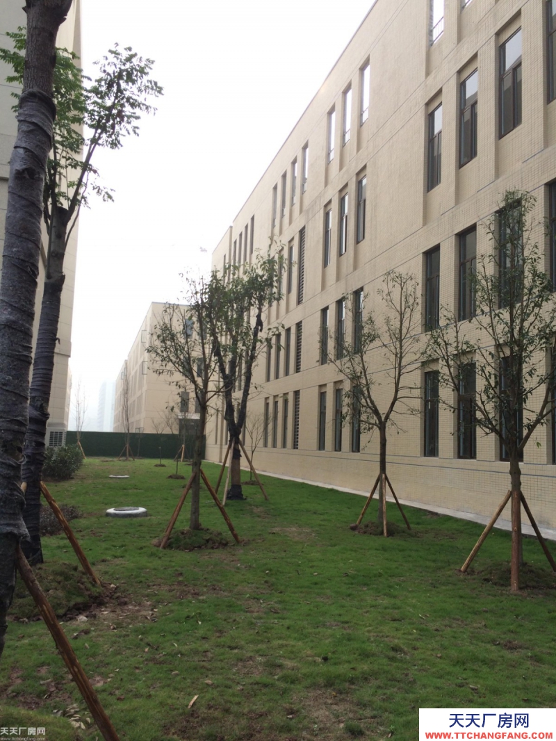 經濟園區稀缺廠房出租售—— 1000㎡-5000