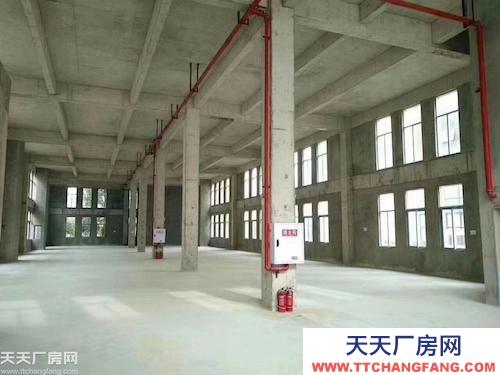 標準廠房出售（50年獨立產權，可按揭，最長10年）