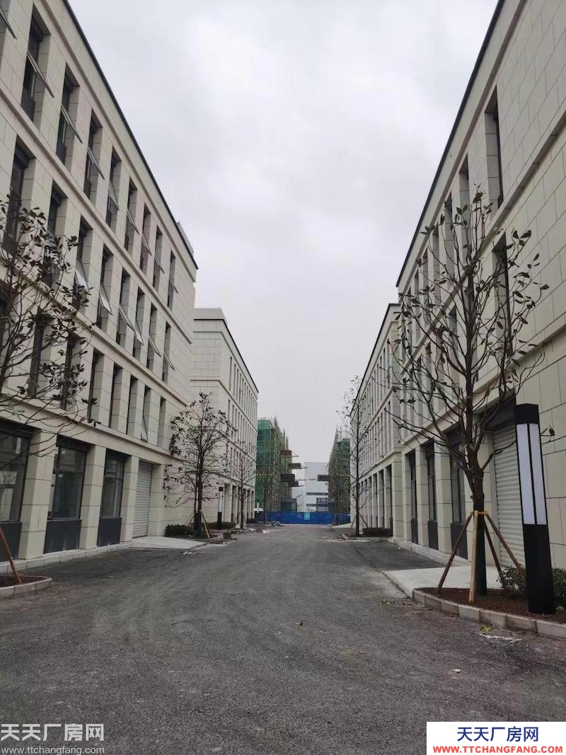 前沿科技城50年產(chǎn)權(quán)廠房,600平到5000平,可按揭