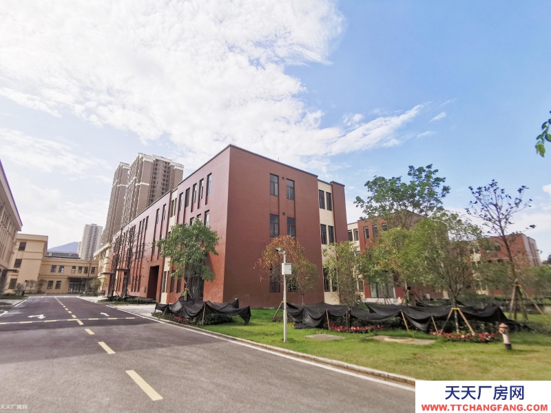 (出租)靈活小戶 獨立產權 500㎡起 標準廠房