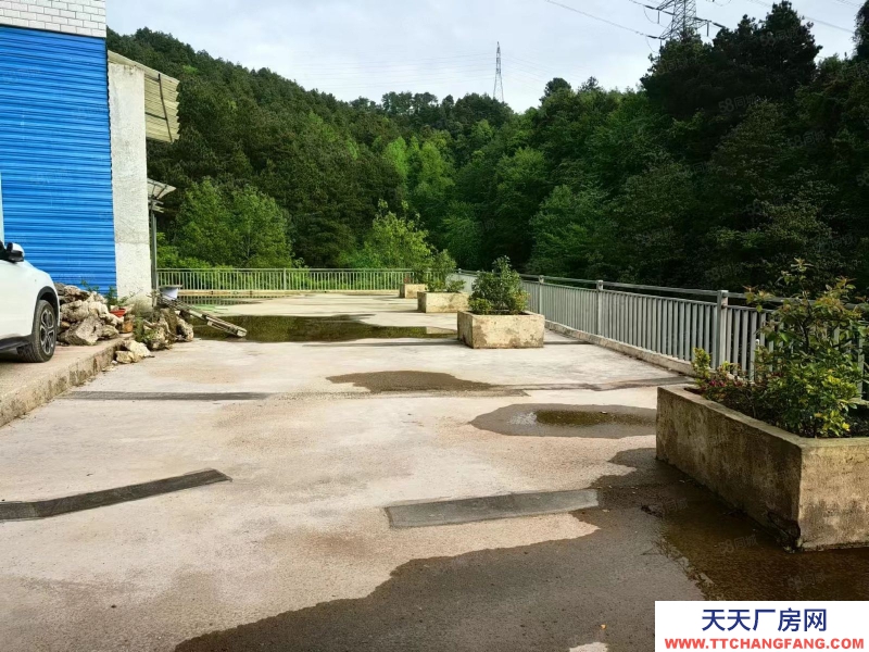 云巖區(qū)鹽沙大道600平廠房出租